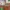 Gallery-image-3-Swiffer-Vloerdoekjes-Droog-Navulling-80-stuks-GIGA-PACK